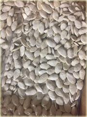 Dynia biała Jinan z Japonii jadalna