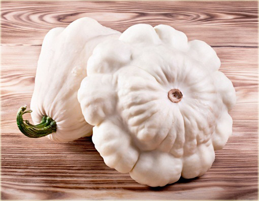 Dynia jadalna Patison biała