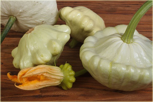 Dynia jadalna Patison biała