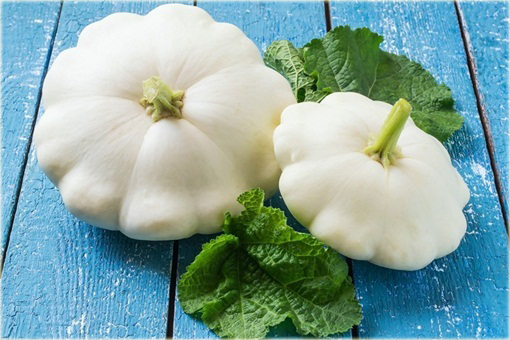 Dynia jadalna Patison biała