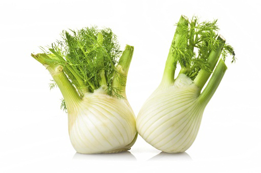 Fenkuł włoski, koper włoski, koper słodki warzywo