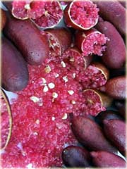 Granat właściwy Pink Finger, granatowiec właściwy, pomegranate
