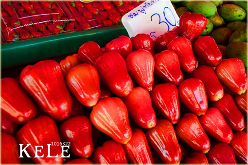 Jabłoń Rose, Czapetka samarangijska