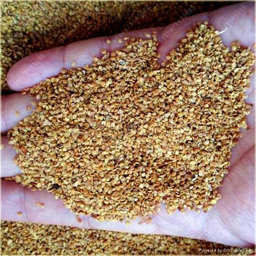 Jagody goji Wolfberry Kolcowój chiński