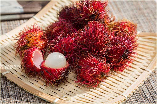 Jagodzian rambutan