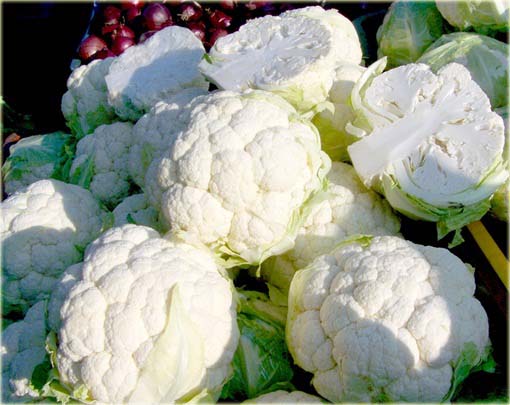 Kalafior biały, brokuł, kapusta warzywna