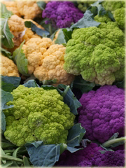 Kalafior mix kolorów