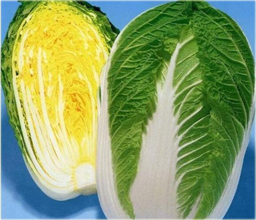 Kapusta pekińska żółta dla niemowląt i dzieci