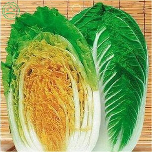 Kapusta pekińska żółta dla niemowląt i dzieci