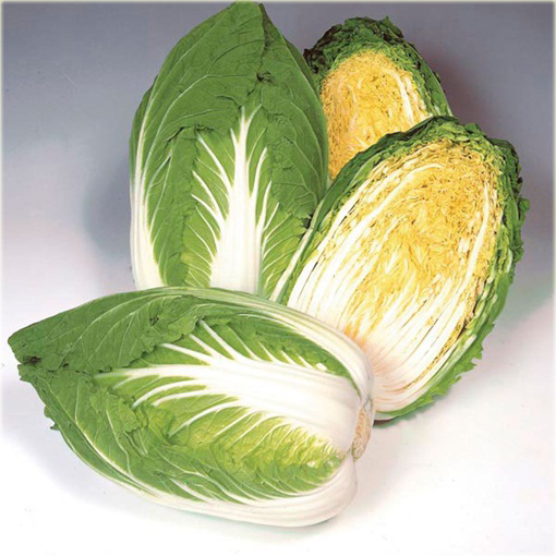 Kapusta pekińska żółta dla niemowląt i dzieci