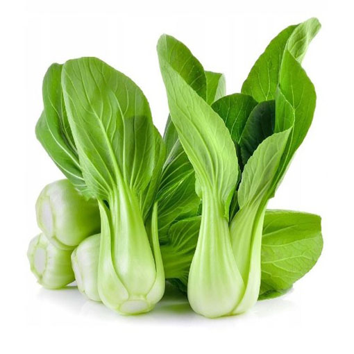 Kapusta warzywna Pak Choi, Brassica chinensis. Cabbage pak choi red inferno