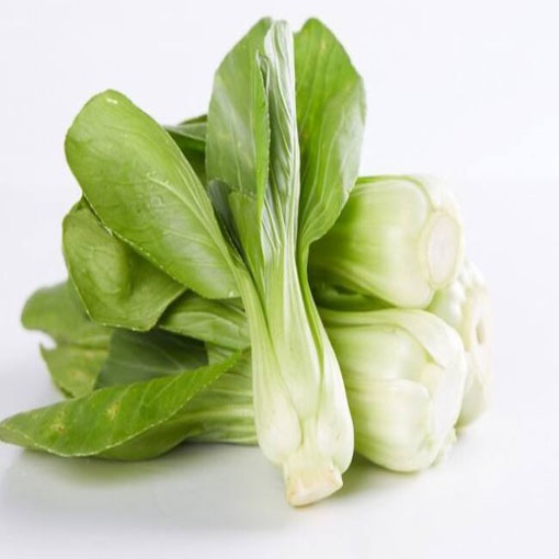 Kapusta warzywna Pak Choi, Brassica chinensis. Cabbage pak choi red inferno