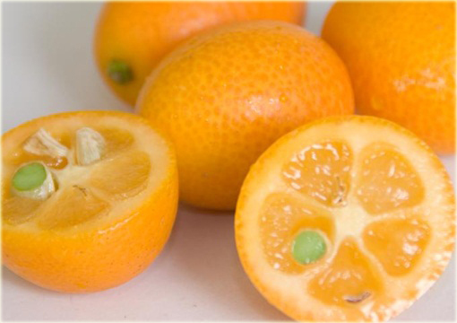 Kumkwat Kumquat brat mandarynki