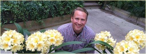 Lilia barbados biało-żółta