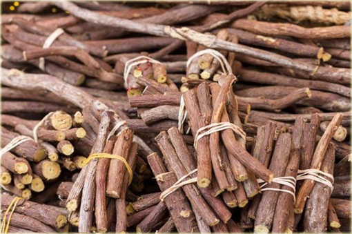 Lukrecja Glycyrrhiza