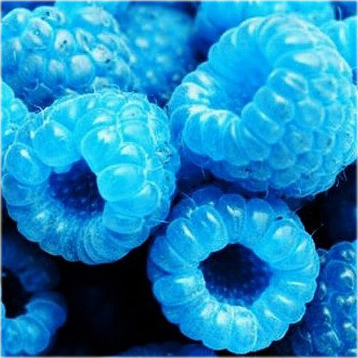 Maliny niebieskie, fioletowe, zielone, czerwone, czarne mix kolorów