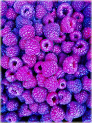 Maliny niebieskie, fioletowe, zielone, czerwone, czarne mix kolorów