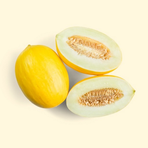 Melon słodki Jumbo Cucumis melo Jumbo