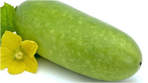 Melon zimowy Winter melon
