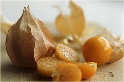 Miechunka jadalna peruwiańska