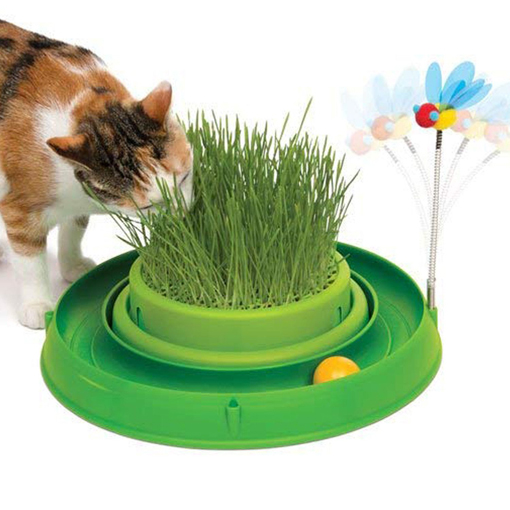 Trawa dla kota, Cat Grass