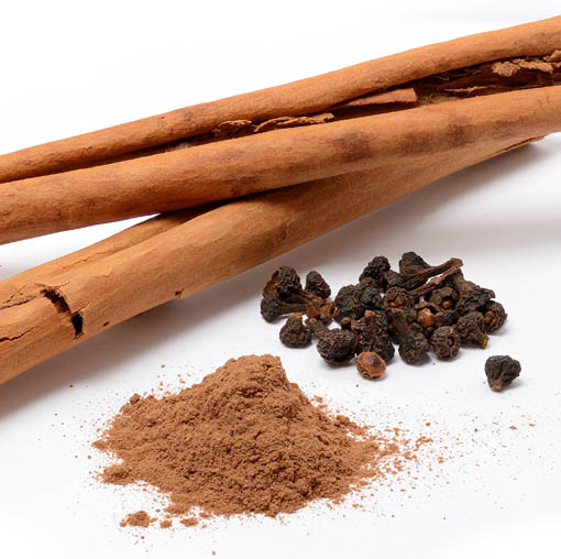 Cynamonowiec cynamon, Cinnamomum verum