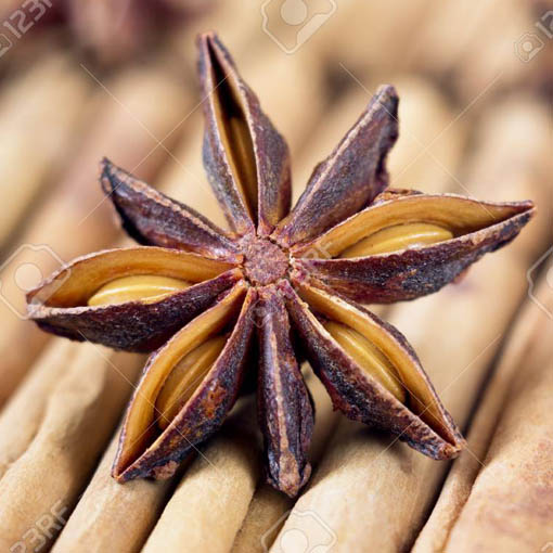 Cynamonowiec cynamon, Cinnamomum verum