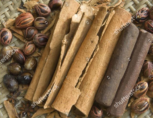 Cynamonowiec cynamon, Cinnamomum verum