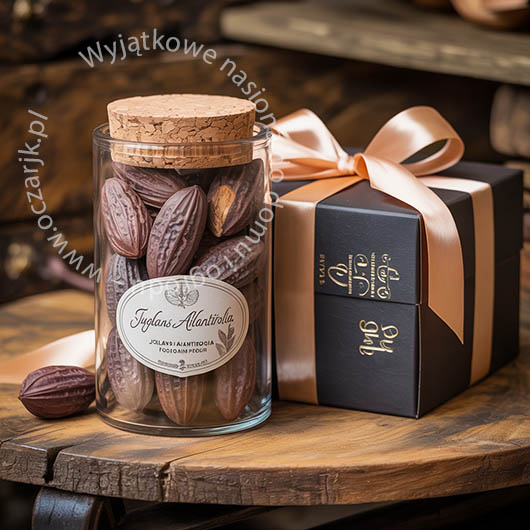 Nasiona Orzech ajlantolistny Juglans ailantifolia