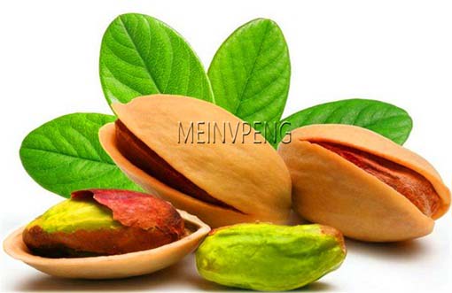 Orzech Pistacja pistacia jadalny