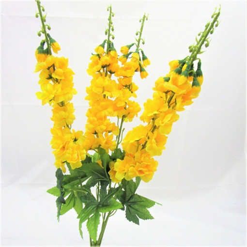 Ostróżka Królewska ŻÓŁTA rzadka odmiana Delphinium consolida yellow