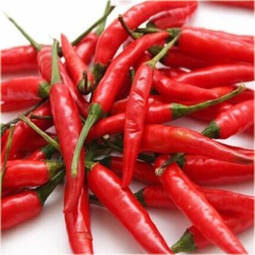 Papryka czerwona Havana