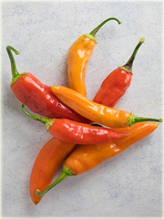 Papryka długa różne kolory ostra
