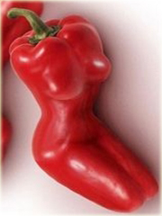 Papryka łagodna kobieta Sexy Beauty Pepper
