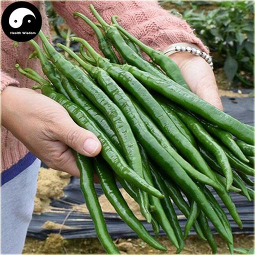 Papryka zielona długa pikantna