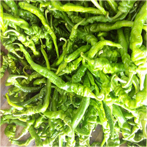 Papryka zielona Śruba