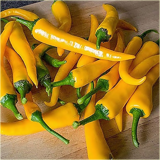 Papryka długa żółta ostra