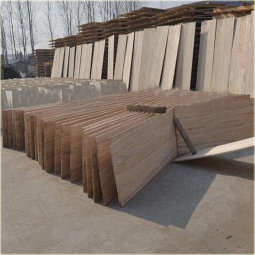 Paulownia Elongata, Pawłownia