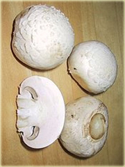 Pieczarka jadalna grzyb super smaczny