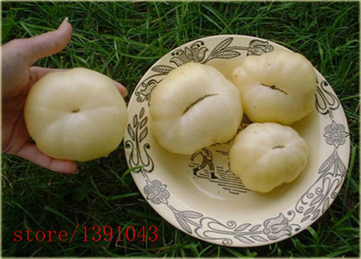 Pomidor biały Beefsteak