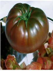 Pomidor Black Krim czarny, Tomato Black Krim, Solanum lycopersicum, Lycopersicon