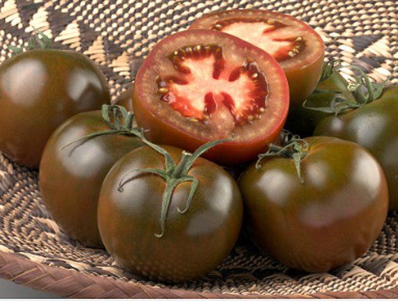 Pomidor Czarny Książę, Tomato Black Prince