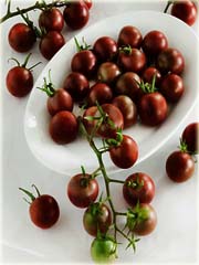 Pomidor doniczkowy mini czarny