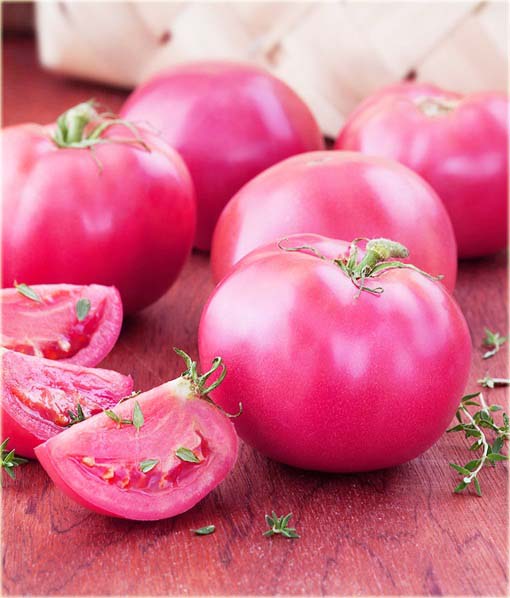 Pomidor duży różowy gronowy
