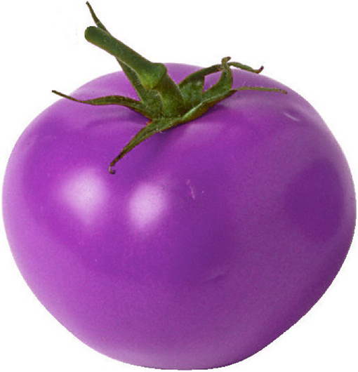Pomidor fioletowy czereśniowy