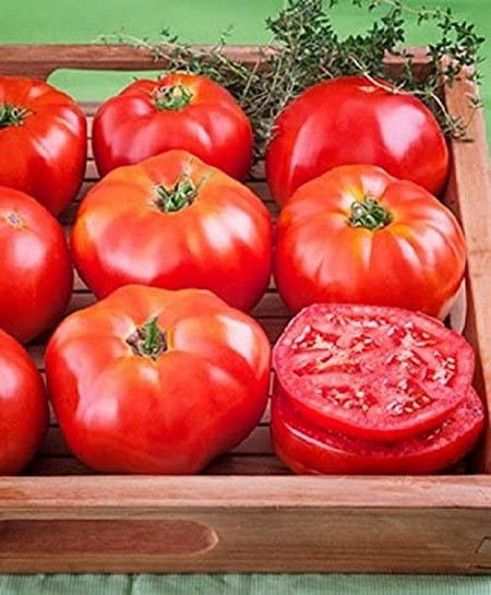 Nasiona Pomidor duży Super Steak, Tomato Super Steak