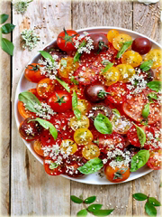 Pomidor wielokolorowy Tęcza