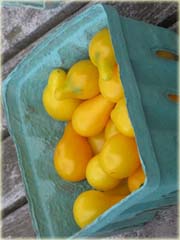 Pomidor żółty gruszkowy duży