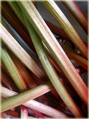 Rabarbar ogrodowy Lider, super smaczny, rzewień