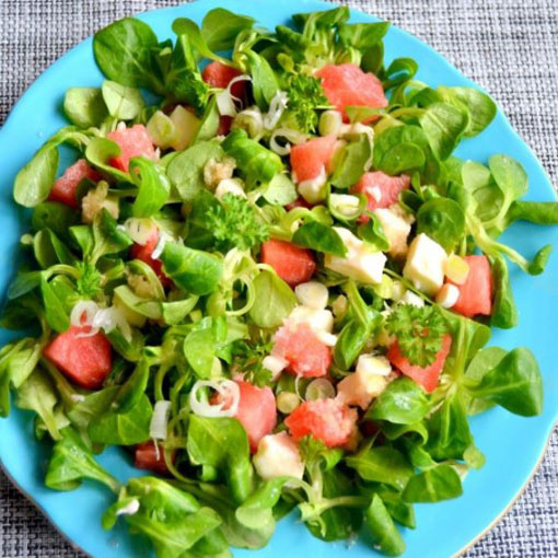 Roszpunka warzywna na sałatkę, Valerianella locusta